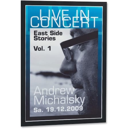 Durablue 11 x 17 in. Adhesive Frame - Black DBL476901